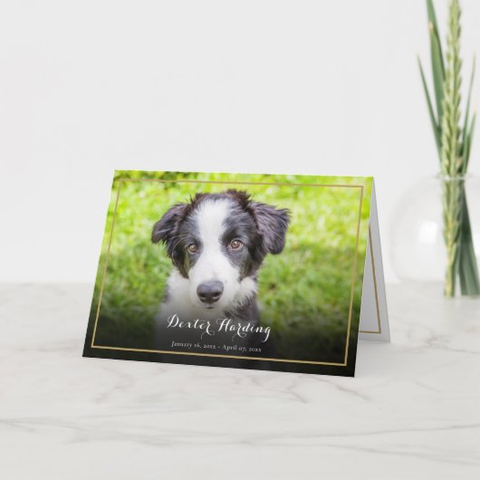 ペットの死への哀悼 写真 エレガントなゴールド サンキューカード (正面)