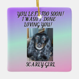 ペットの無条件の愛へのトリビュート 1枚の写真 セラミックオーナメント