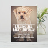 ペットの犬のパーティー写真招待状 招待状 (スタンド正面)
