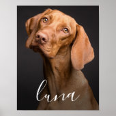 ペットの犬の写真に名前を入れたデザイン ポスター (正面)
