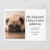 ペットの犬の写真 新しい住所に移動しました 現代的 案内ポストカード (正面)