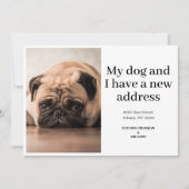 ペットの犬の写真 新しい住所のお知らせ 引っ越しました (正面)