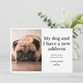 ペットの犬の写真 新しい住所のお知らせ 引っ越しました (スタンド正面)