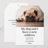 ペットの犬の写真 新しい住所 お引越しのお知らせ (正面/裏面)