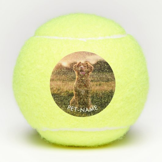 ペットの犬の名前の写真入りカスタムグッズ テニスボール (正面)