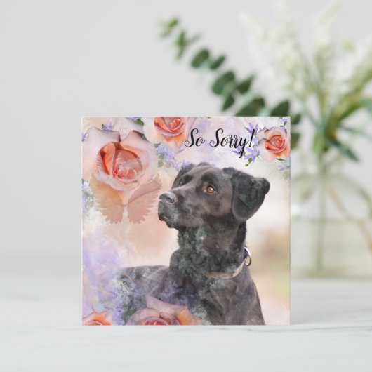 ペットの犬の喪失のカード カード (スタンド正面)