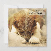 ペットの犬の喪失カード カード (正面)