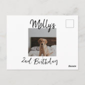 ペットの犬 猫 動物 誕生日 写真 現代 シンプル ポストカード (裏面)