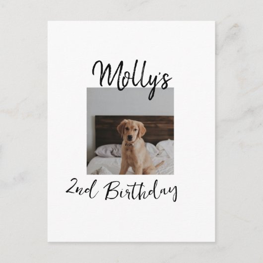 ペットの犬 猫 動物 誕生日 写真 現代 シンプル ポストカード (正面)