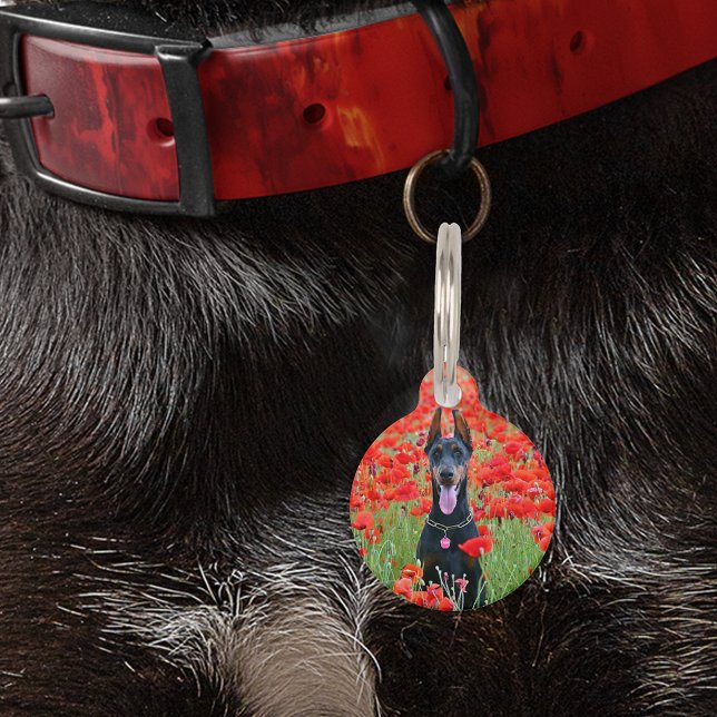 ペットの犬 猫 ID 紛失 写真 パーソナライズド テキスト ペット　ネームタグ (クリエイターアップロード済み)