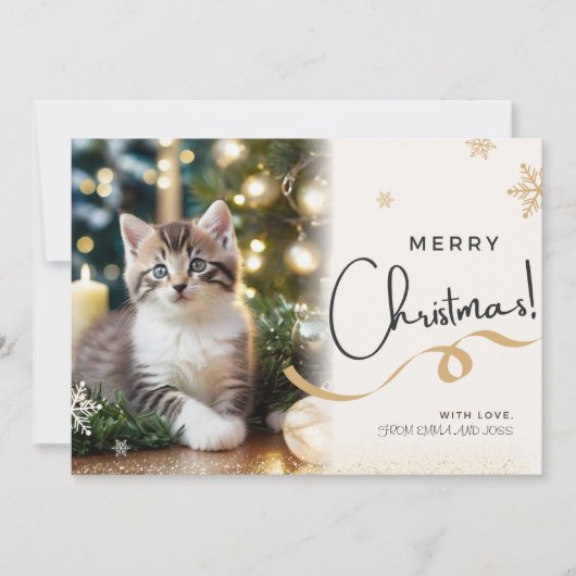 ペットの猫のクリスマスホリデーカード シーズンカード (正面)