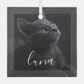 ペットの猫の写真の名前 ガラスオーナメント (正面)