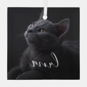 ペットの猫の写真の名前 ガラスオーナメント (裏面)