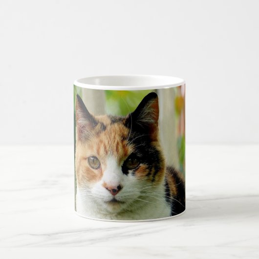 ペットの猫の写真をコーヒーマグに追加 コーヒーマグカップ (中央)