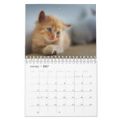 ペットの猫の写真を作る2025 2ページのカレンダー カレンダー (1月 2027)