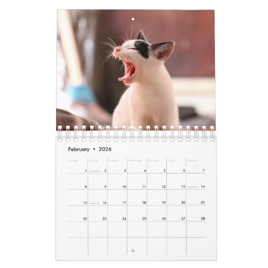 ペットの猫の写真を作る2025 2ページのカレンダー カレンダー (2月 2026)