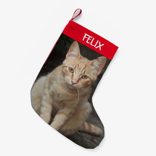 ペットの猫の写真を作成する スモールクリスマスストッキング (正面 (吊り時))