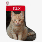 ペットの猫の写真を作成する スモールクリスマスストッキング (正面)