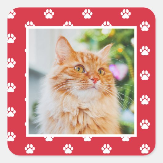 ペットの猫の足跡パターン ホリデー写真 スクエアシール (正面)