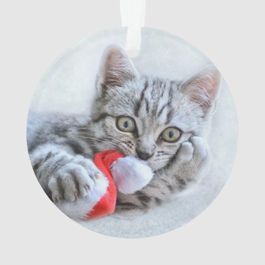ペットの猫は、クリスマスが小さくてかわいい赤緑 オーナメント (裏面)
