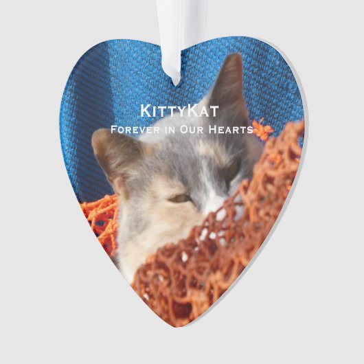 ペットの猫または犬の写真アクリパーソナライズされたル オーナメント (正面)