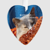 ペットの猫または犬の写真アクリパーソナライズされたル オーナメント (正面)