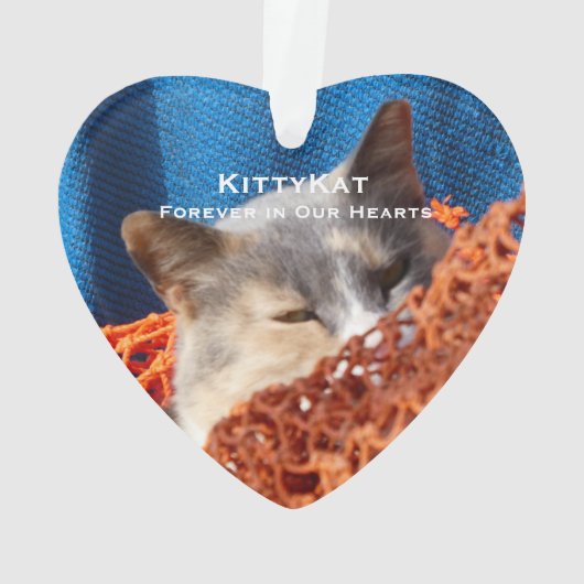 ペットの猫または犬の写真アクリパーソナライズされたル オーナメント (裏面)