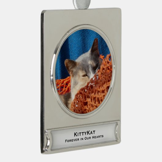 ペットの猫や犬の写真、名前 シルバープレートバナーオーナメント (右)