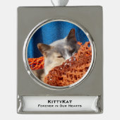 ペットの猫や犬の写真、名前 シルバープレートバナーオーナメント (正面)