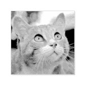 ペットの猫カスタムの写真を自分で作る セルフインキングスタンプ (デザイン)