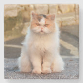 ペットの猫写真を作パーソナライズされたる ストーンコースター (正面)