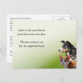 ペットの獣医予防接種のお知らせ ポストカード (正面/裏面)