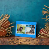 ペットの画像でプラーク フォトプラーク (側面)