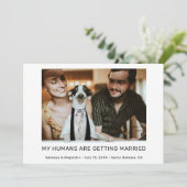 ペットの結婚式写真エンゲージメントの発表 招待状 (スタンド正面)