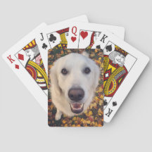 ペットの親のための可愛い犬の贈り物