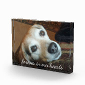 ペットの記念写真が永遠にハート フォトブロック (右)