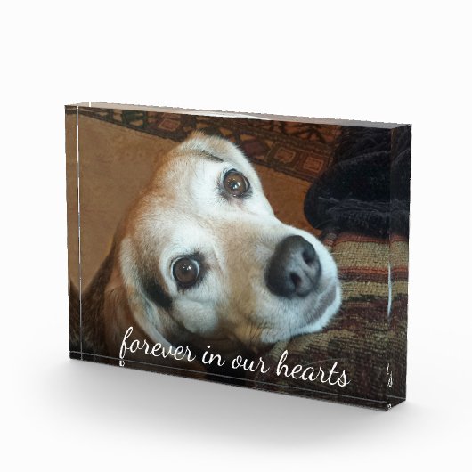 ペットの記念写真が永遠にハート フォトブロック (右)