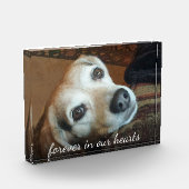 ペットの記念写真が永遠にハート フォトブロック (左)