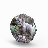 ペットの記念撮影の名前と日付 フォトブロック (右)