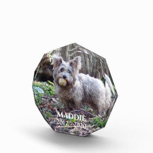 ペットの記念撮影の名前と日付 フォトブロック (右)