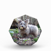 ペットの記念撮影の名前と日付 フォトブロック (正面)