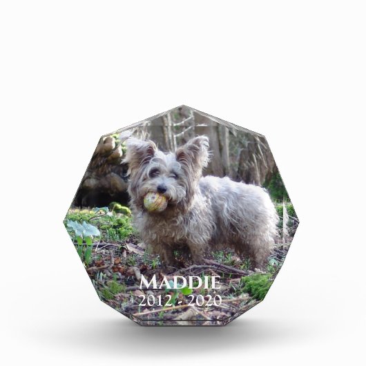 ペットの記念撮影の名前と日付 フォトブロック (正面)