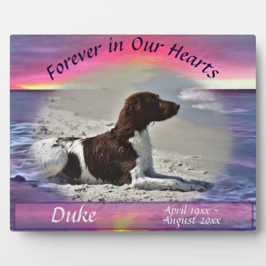 ペットの記念碑の私たちのハートの夕日0911 フォトプラーク (正面)