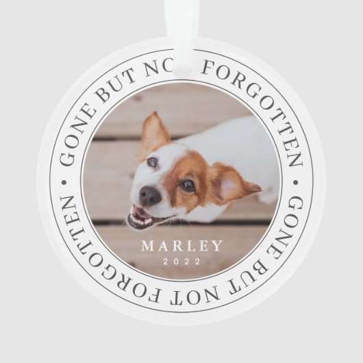 ペットの記念碑は消え忘れたがモダン写真 オーナメント (裏面)