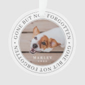 ペットの記念碑は消え忘れたがモダン写真 オーナメント (正面)