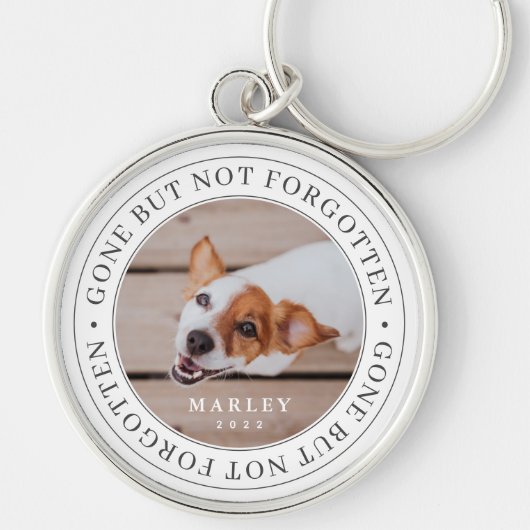 ペットの記念碑は消え忘れたがモダン写真 キーホルダー (正面)