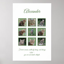 ペットの誕生日や記念日にぴったり！オーダーメイドのペットお祝いポスター ポスター