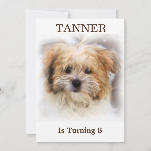 ペットの誕生日パーティー招待状 招待状 (正面)