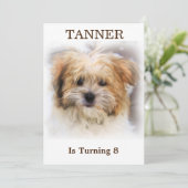 ペットの誕生日パーティー招待状 招待状 (スタンド正面)