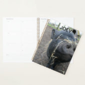 ペットの豚。 プランナー手帳 (ディスプレー)